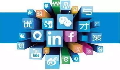 網站運營與網絡文化經營 構建可持續的在線生態系統